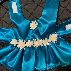 Small Blue Dog Dress